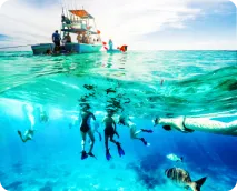 Cancún snorkeling